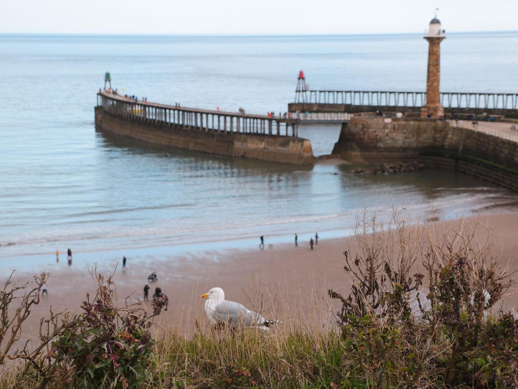 Rosemary Cottage Whitby Ngoại thất bức ảnh